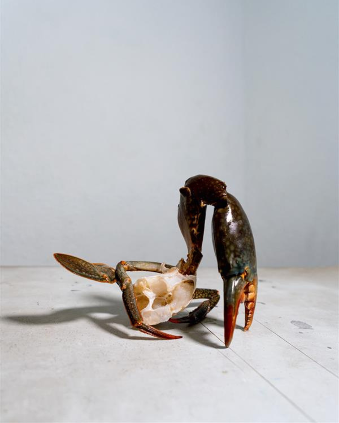 UPCOMING EXHIBITION - THE SPACE BETWEEN